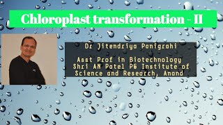 Chloroplast transformation - II