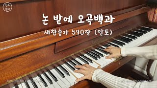 논 밭에 오곡백과(590장) - 알토