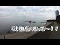 【愛知県釣りポイント】南知多町大井漁港2021年2月中旬