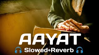 Aayat (Slowed + Reverb) / Bajirao Mastani / Ranveer Singh / Deepika Padukon / Green Records