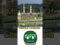 Top 5 Biggest Mosques In The World#countryballs#shortsvideo#shorts#short