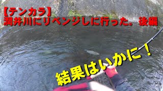 【テンカラ】潤井川にリベンジしに行った。後編～大物との激闘！