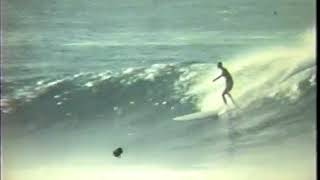 golden breed surf movie