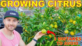 3 BIG Mistakes Gardeners Make Growing CITRUS Trees