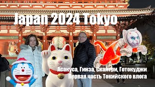 2024 Japan Trip Part 5 - Tokyo vlog 1 - Япония Токио влог декабрь 2024