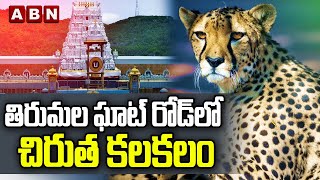 Cheetah Hulchul in Tirumala: తిరుమల ఘాట్‌ రోడ్‌లో చిరుత కలకలం || ABN Digital