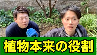 ほとんどの人が知らない植物本来の役割