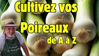 Quelles variétés de poireaux choisir pour chaque saison ?