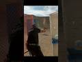 USPSA at Phoenix Rod & Gun 11.2.2024 Stage 4 Clip 8