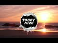 liaze paradise tobey nize remix