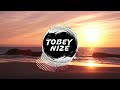 liaze paradise tobey nize remix