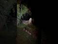 #paranormal #poltergeist #demons #ghosts #hauntedhouse #magicalpoltergeist #footage