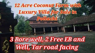 #317) 12 Acre Coconut Farm with Luxury Villa for Sale in Pollachi | Prime Investment Opportunity 🌴🏰