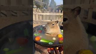 This capybara is not chill. He wants to cook himself into soup 🍲😭