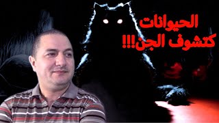 واش بصح الحيوانات كتشوف و كتسمع شي حوايج الإنسان مكيقدرش يشوفها و يسمعها؟ 🤔🤔🤔 الحلقة 27