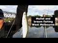 Mullet and bream in a short session on the Maribyrnong River, West Melbourne