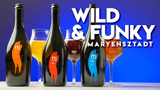 Wild \u0026 Funky z Browaru Maryensztadt: Straight Lambic, Flanders Red Ale i Sour American Brett Ale