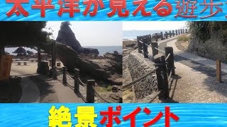 南房総観光スポット★豊岡海岸付近の『法華崎遊歩道』２つの島、雀島　岩礁地帯　自然光【絶景ポイント】