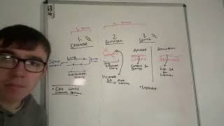 Day 5 Revision - Carbohydrates Overview