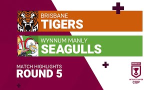 Tigers v Wynnum - Intrust Super Cup match highlights - Round 5, 2021