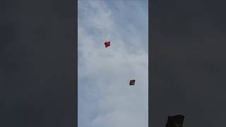 Basant Festival kite flying #basant #kitefestival