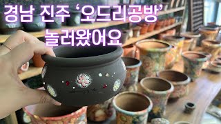 다육이화분 오드리공방 놀러왔어요🪴문의010-2421-5642