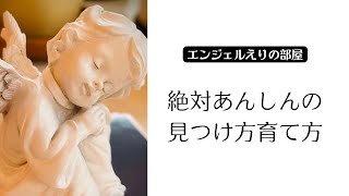 【絶対あんしんを見つけて育てる】