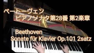 ベートーヴェン :ピアノソナタ第28番 イ長調 作品101 第2楽章／Beethoven :Sonate für Klavier Nr.28 A-Dur Op.101 2satz