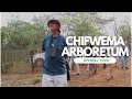 Chifwema Arboretum Opening Tour