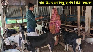 ঢাকার নারী উদ্যোক্তা রানু আপার খামার থেকে ক্রস ও উন্নত জাতের ছাগল কিনুন goat farming