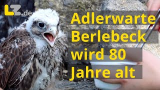 LZ-Redakteurin als Falkner-Azubi auf der Adlerwarte Berlebeck