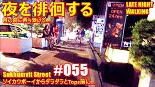 世界の遊び場Vlog #055　ソイカウボーイからスクムビット通りを　夜を徘徊する　暗闇に待ち受ける...