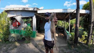 Mongoose Catch And Cook Using A Primitive Trap🇫🇯