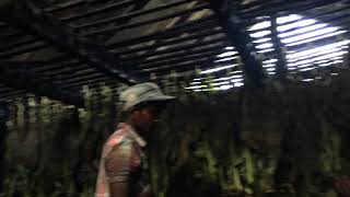 புகையிலை உணர்த்துதல் 3. Tobacco processing 3