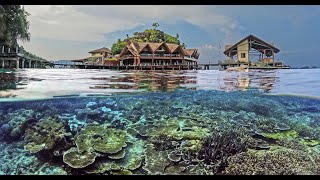 Diving Misool in Raja Ampat, Indonesia - Feb. 2023