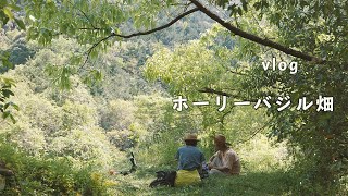 [田舎暮らしVlog]4K｜ホーリーバジル畑の準備でございます｜自然栽培｜10話