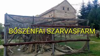 BŐSZÉNFAI SZARVASFARM 2018