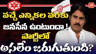 Will Janasena Survive Till 2024 Elections? | Pawan Kalyan | AP Elections 2019 | YOYO TV Channel