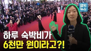 [M빅이슈] 우주 최강 스타 다 모였다! 엠빅 특파원이 알려주는 칸 영화제의 모든 것