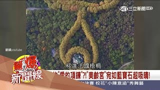 20170520【驚爆新聞線PART1】蔣夫人的珠寶盒不只夜明珠　法國梧桐「愛的項鍊」超吸睛！│呂惠敏主持│三立新聞台