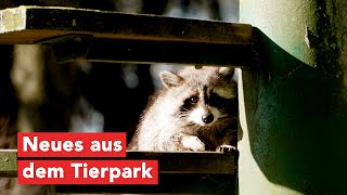 Neuigkeiten aus dem Tierpark Wismar