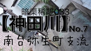 【神田川】No.7 南台弥生町支流【暗渠稀覯033】