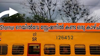 Shornur Railway സ്റ്റേഷനിലെ ദേശാടനപ്പക്ഷികൾ  കൂടുകൂട്ടുന്ന കാഴ്ചകൾ | Kerala | @Keralakkaran | 🇮🇳