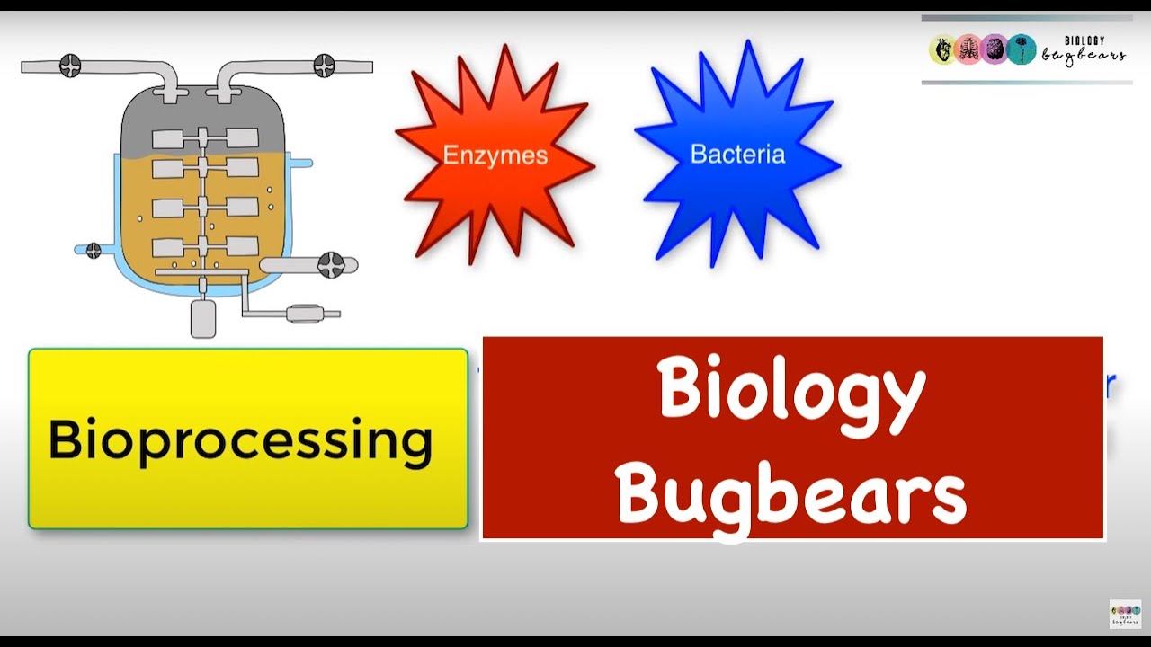 Bioprocessing-Batch And Continuous Flow (leaving Cert Biology)Biology ...