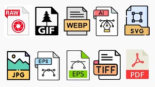 Every Types Of Image Formats Explained (Raster VS Vector)