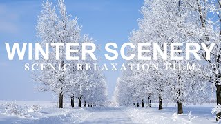 Beautiful Relaxing Music, Peaceful Soothing Instrumental Music, "Beautiful Winter Scenery"