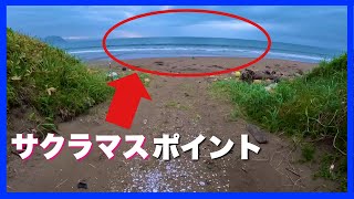 【噴火湾サクラマス】開始5分で終了した長万部サーフの末路…。［北海道釣り］［道南釣り］