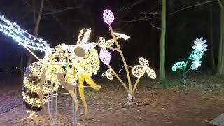 Illumina Zaubergarten Lichtspiele Schloss Laxenburg Niederösterreich Nacht Licht Spaziergang Dunkeln