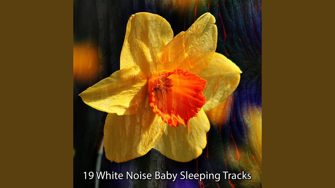 A Mind For Achievement