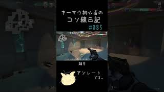 【VALORANT】キーマウ初心者のコソ練日記085